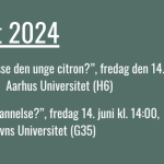 Mød Danske Universiteter på Folkemødet 2024